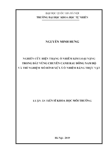 Luận án Nghiên cứu hiện trạng ô nhiễm kim loại nặng trong đất vùng chuyên canh rau Đông Nam Bộ và thí nghiệm mô hình xử lý ô nhiễm bằng thực vật